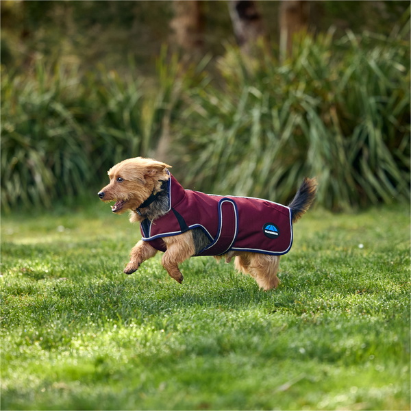 2025 Weatherbeeta Comfitec Premier Deluxe Waterproof Dog Coat 1028800 - Burgundy
